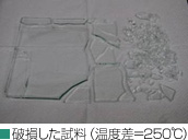 破損した試料（温度差=250℃）