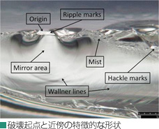 破壊起点と近傍の特徴的な形状