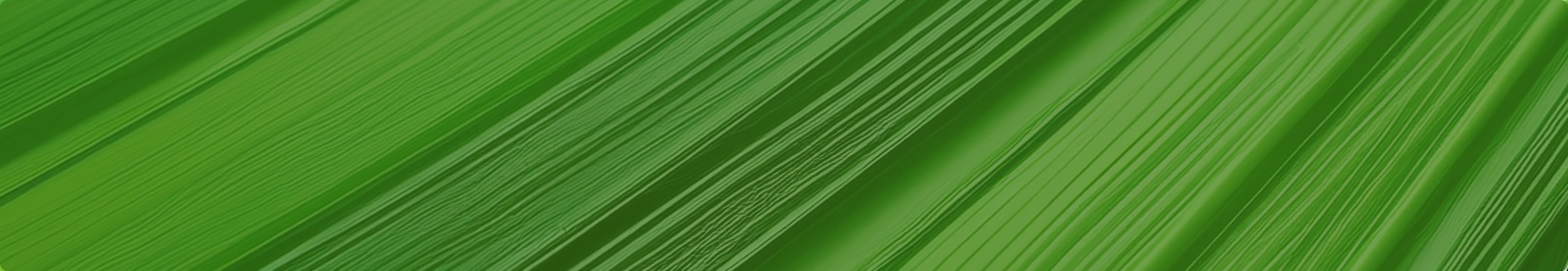 ページタイトル背景画像